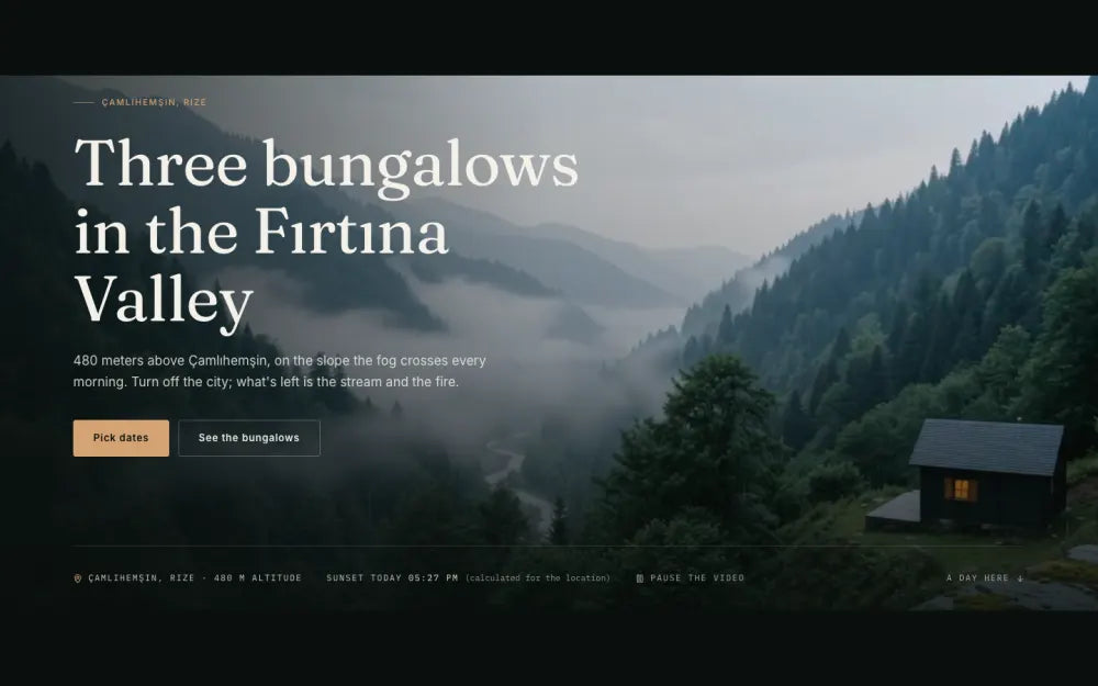 Silvanus website template preview