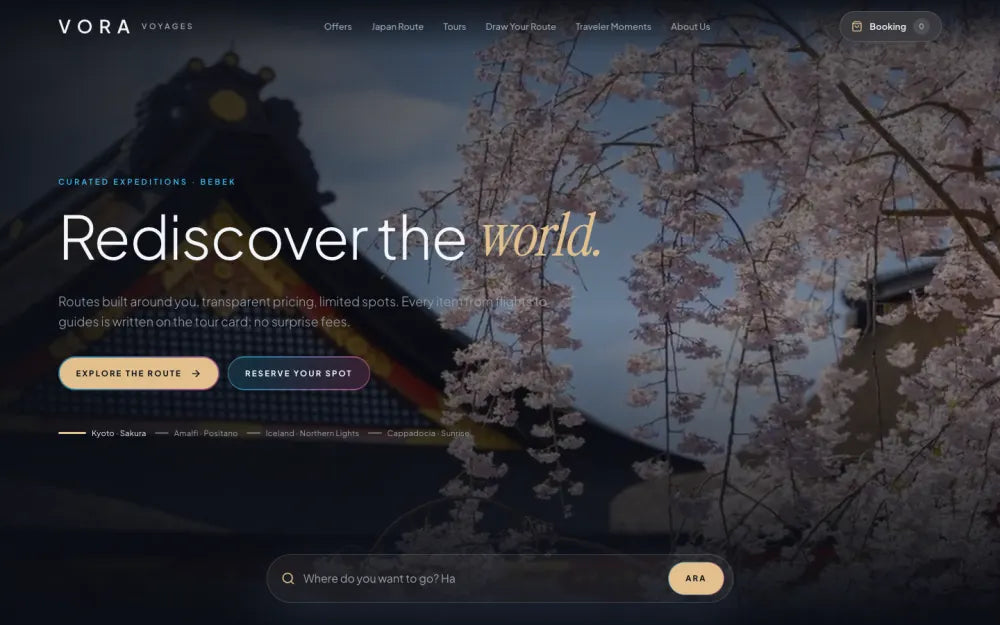 Vora website template preview